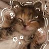 silly__kitty